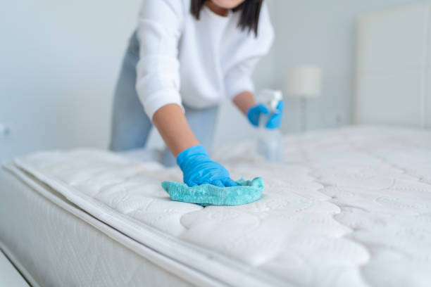 Bright Leaf Cleaning staff disinfecting high touch surfaces in home interior